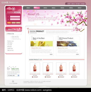 專業日化洗滌用品網頁模板設計下載與網絡技術服務解析